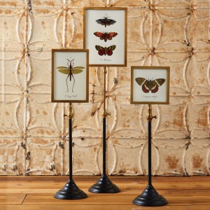 butterfly prints